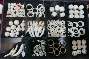 Ve zvláštních ekonomických zónách Asie kvete obchod s ohroženými zvířaty