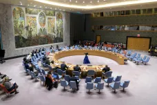 Rusko v OSN vetovalo rezoluci spojující bezpečnost a klimatické změny