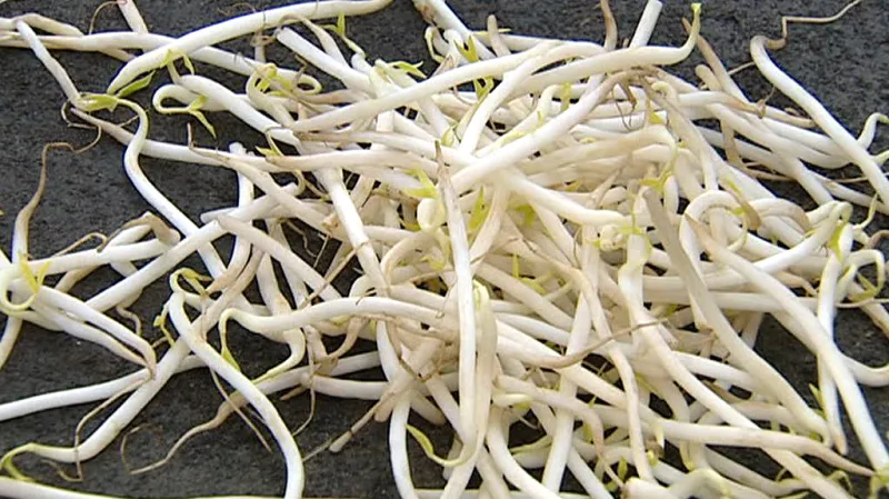 Zeleninové výhonky