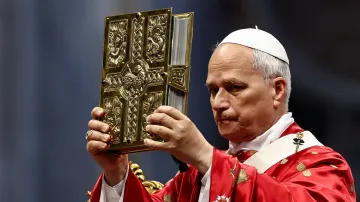 Papež Lev XIV.
