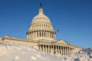 Zimní počasí si v USA už vyžádalo nejméně 85 mrtvých