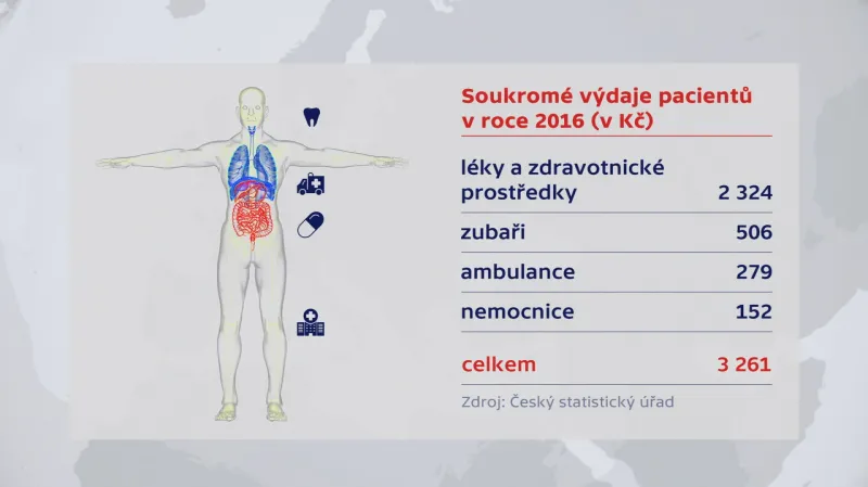 Výdaje českých pacientů v loňském roce