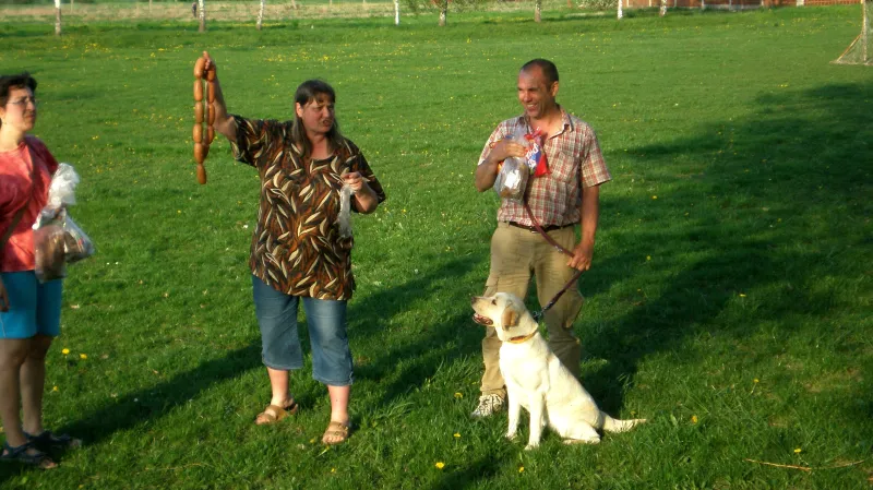 Psí odpoledne v Košticích