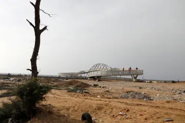 Děti pouště sázejí stromy. Senegalci zachraňují lesy v Dakaru