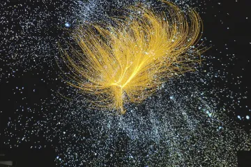 Pražské planetárium se pochlubí největší promítací kopulí na světě