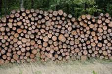 Cena palivového dřeva prudce klesla, Češi díky zásobám nenakupují