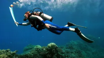 Potápění u Velkého bariérového útesu