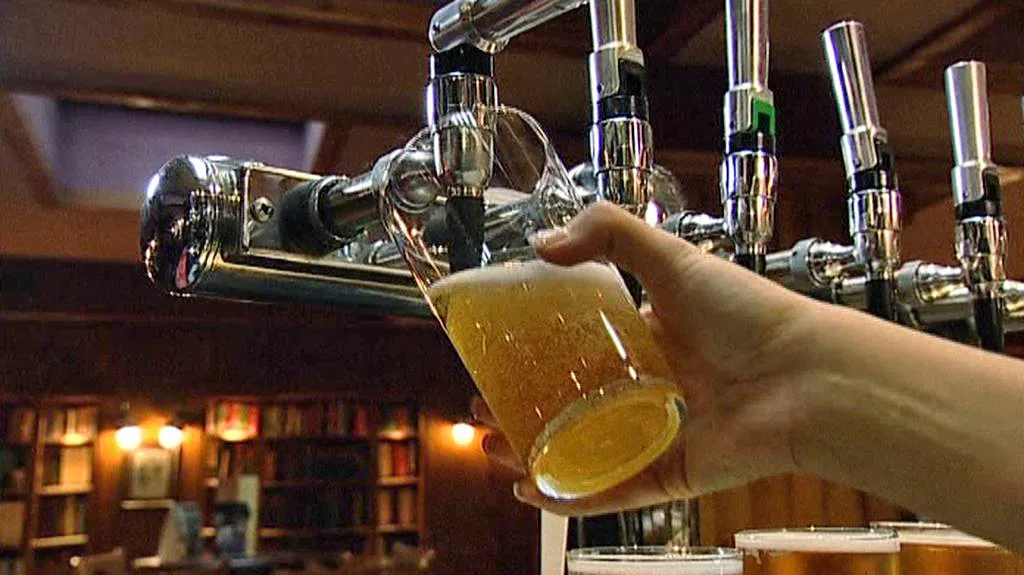 Pivo