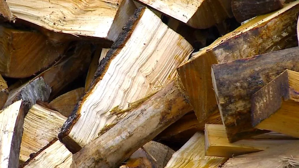 Dřevo na topení