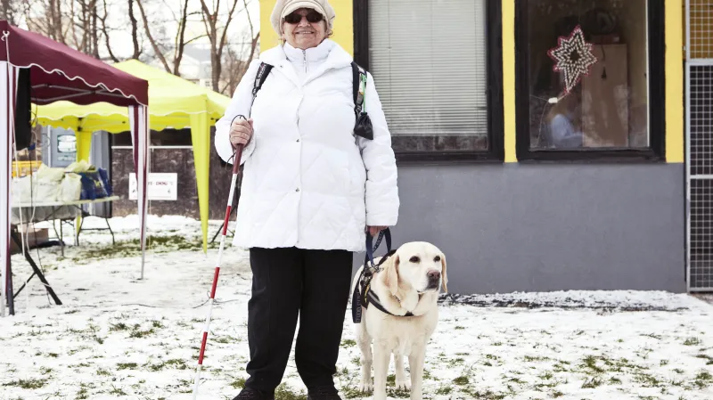 A můžeme na výlet