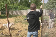 Na farmě na Kroměřížsku vzniká centrum pro lidi s autismem