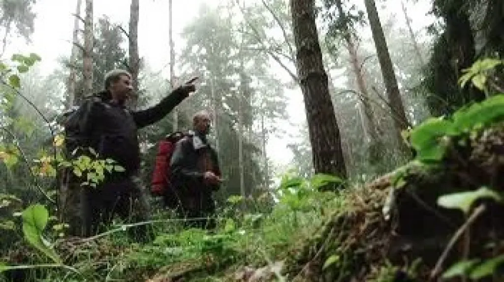 Pouť přírodou dokáže odhalit nové souvislosti