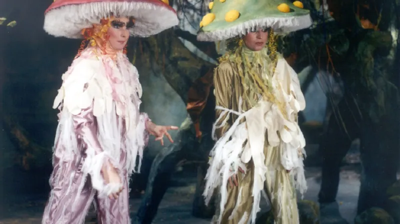 Kdo probudí Pindruše ...?