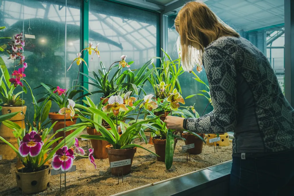 Pracovníci botanické zahrady musejí rostlinám poskytnout dostatek světla a vláhy, důležité jsou i teplota a vlhkost vzduchu