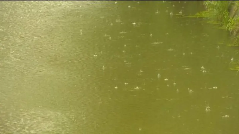 Lucie Pokorná o situaci v severních Čechách