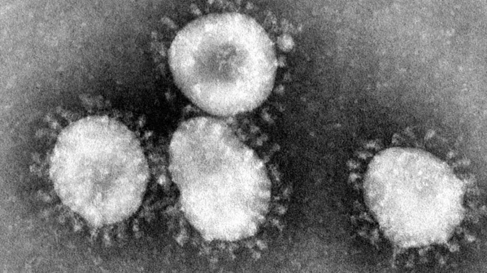 Koronavirus SARS