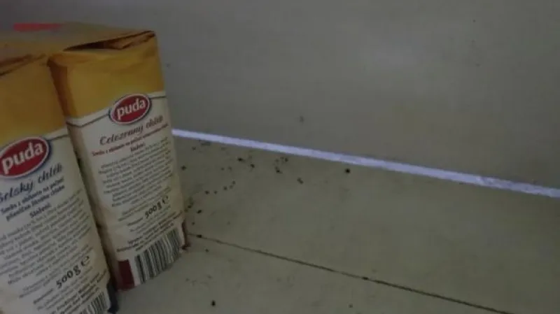 Myší trus v prodejně v Chožově