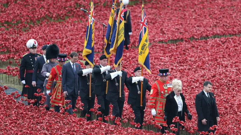Vlčí máky u londýnského Toweru