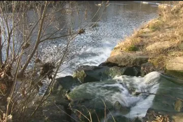 Voda z Bečvy po otravě nepředstavovala nebezpečí pro lidské zdraví, uvedl znalec