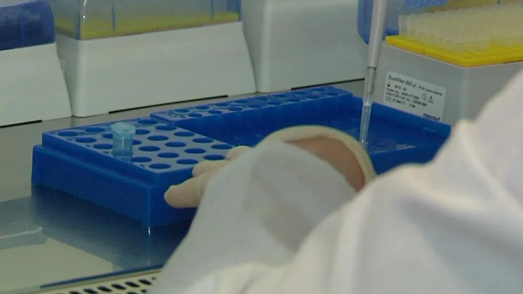 Test DNA