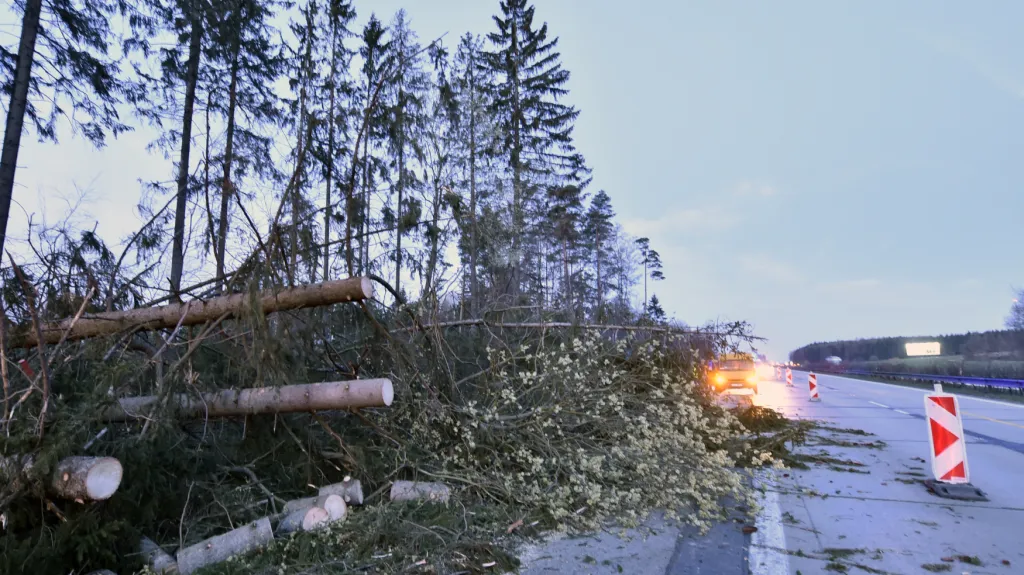 Popadané stromy kvůli větru