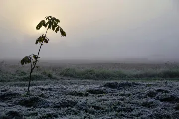 O víkendu se oteplí, místy může pršet