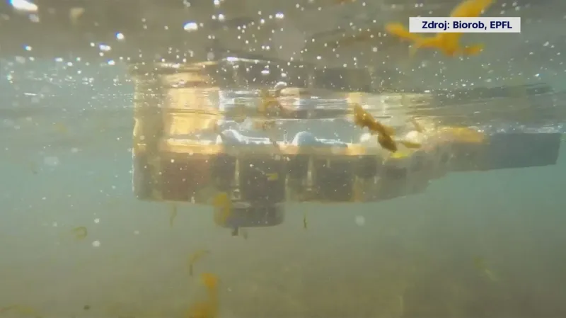 Envirobot  ve tvaru hada