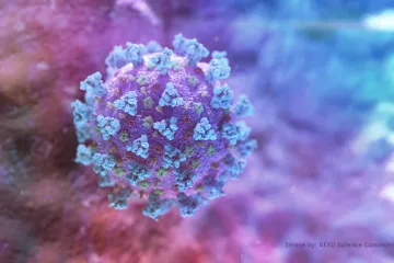 Panika v obchodech, na internetu, v médiích. Může za ni jen koronavirus, nebo jí pomohli novináři?