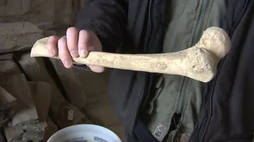 Kosterní pozůstatky