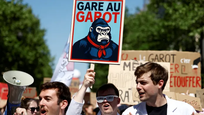 Protest francouzských doktorů