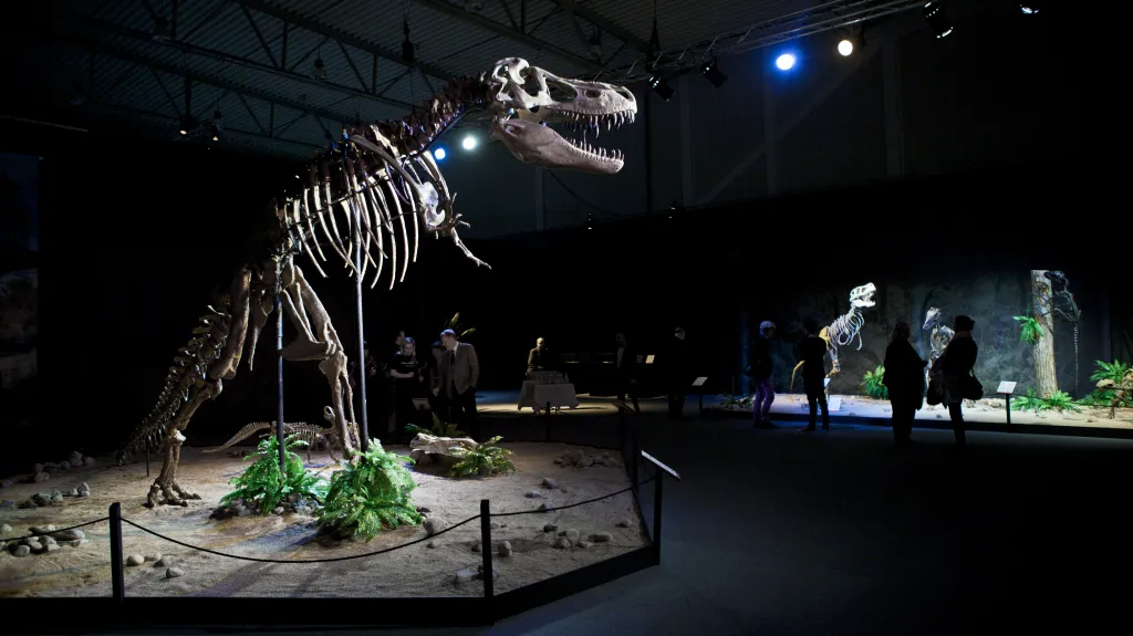 Výstava Dinosarium