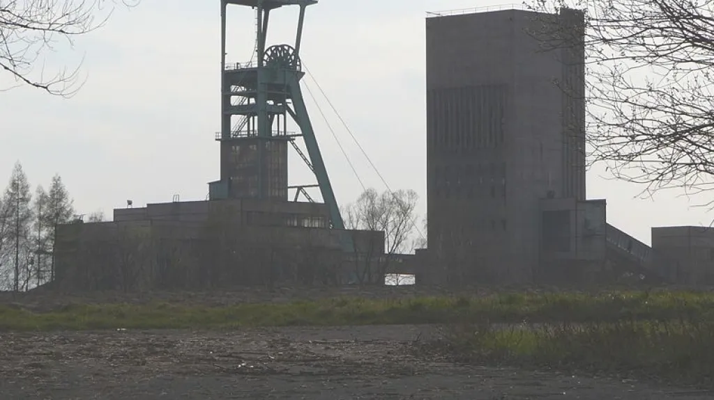 Těžba