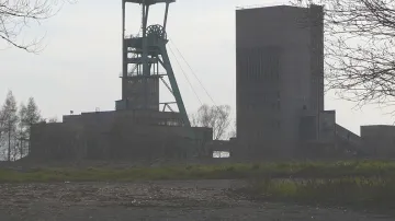Těžba