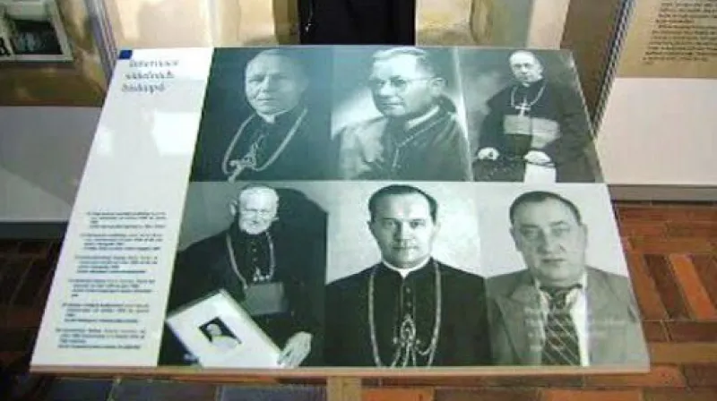 Reportáž Ivy Němcové