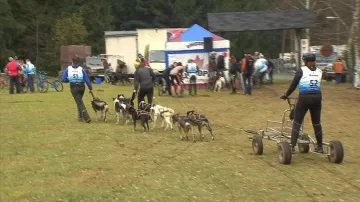 Závod se jel v okolí hotelu Horník u Třech studní