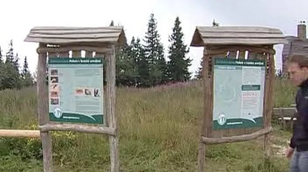Turisté na Šumavě