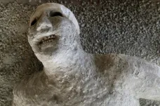 Archeologové poprvé přečetli DNA mrtvých z Pompejí. Našli v ní tragický příběh