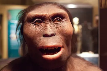 Nejslavnější kostra světa přiletí do Prahy. Národní muzeum vystaví „pratetu lidstva“ Lucy