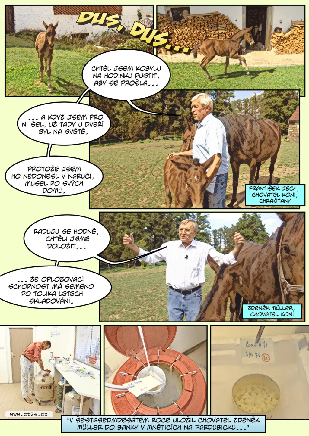 Chovatel koní přivedl na svět hříbě, jehož otec už 40 let nežije. Posunul tím hranice reprodukce