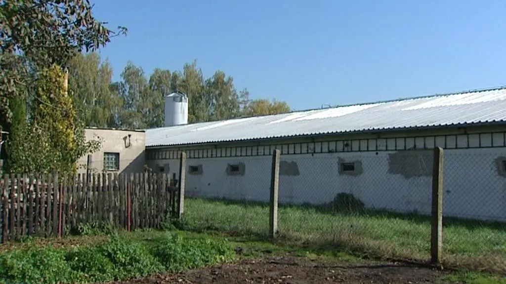 Slepičárna v obci Škudla