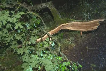 Bouřky v Česku nakonec nebyly tak silné, jak meteorologové očekávali
