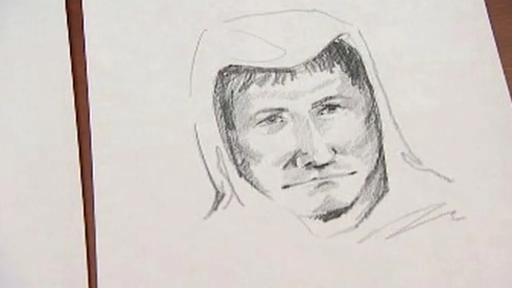 Identikit pachatele