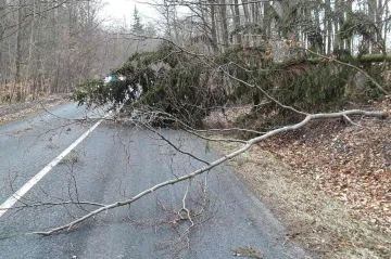 Víkend teplý, ale větrný. Dopravu komplikují popadané stromy, nejezdí lanovka na Sněžku