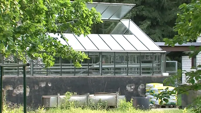 Farma na pěstování výhonků