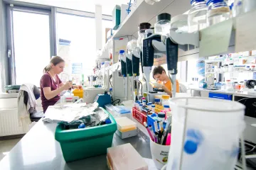 Rakovina vaječníků je těžko léčitelná, genetický test může být zásadní