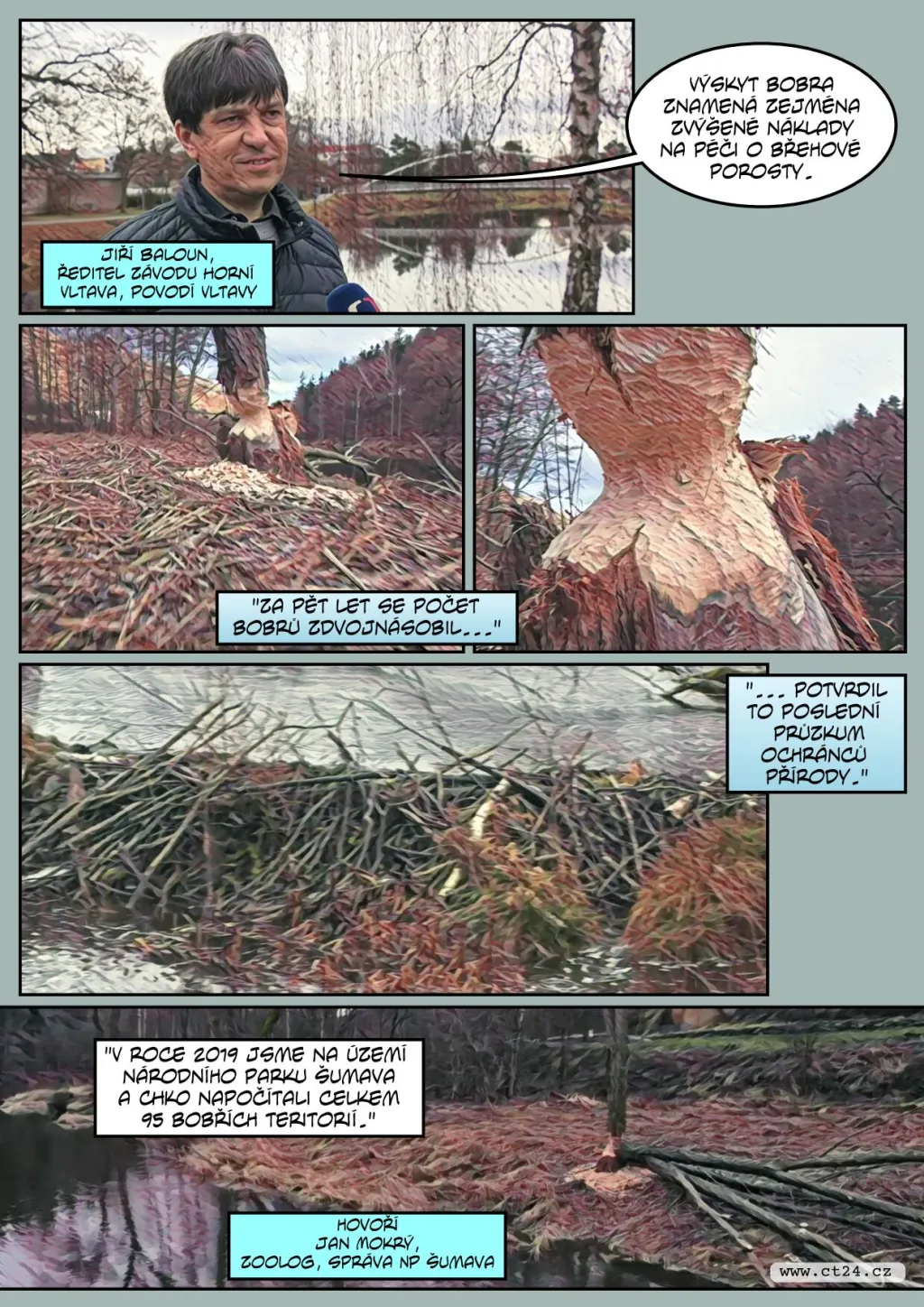 Povodí Vltavy se potýká s bobry
