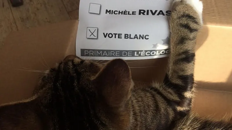 V primárkách Zelených odvolil kocour redaktorky listu Le Monde