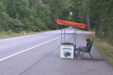 Do lesa „na brigádu“. Lidé prodávají borůvky i houby