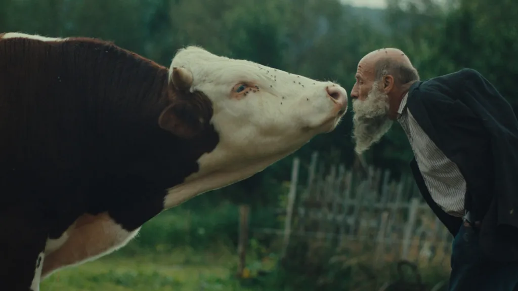 Rozhovor s režisérem Miro Remem