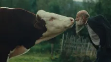 Z dokumentu Raději zešílet v divočině